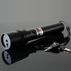 Super starker Laserpointer Grün 1000mW kaufen